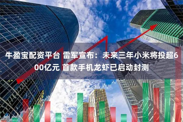 牛盈宝配资平台 雷军宣布：未来三年小米将投超600亿元 首款手机龙虾已启动封测