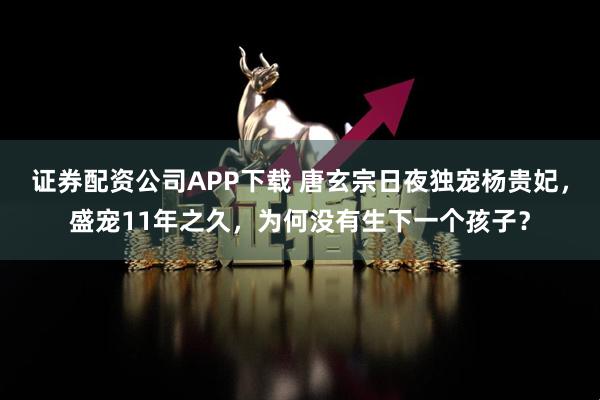 证券配资公司APP下载 唐玄宗日夜独宠杨贵妃，盛宠11年之久，为何没有生下一个孩子？