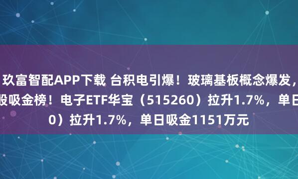玖富智配APP下载 台积电引爆！玻璃基板概念爆发，京东方A登顶A股吸金榜！电子ETF华宝（515260）拉升1.7%，单日吸金1151万元