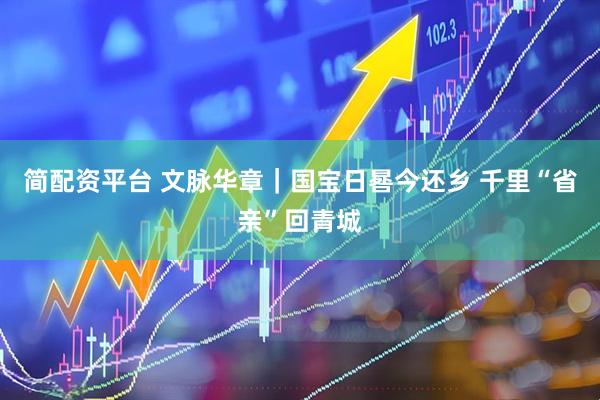 简配资平台 文脉华章｜国宝日晷今还乡 千里“省亲”回青城